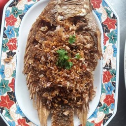 ปลาทับทิมทอดกระเทียม