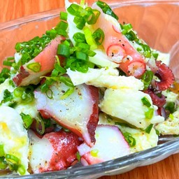 Tako mozzarella negimamire