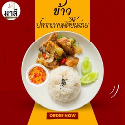 ข้าวปลากะพงผัดขึ้นฉ่าย