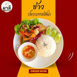ข้าวปลากะพงผัดฉ่า