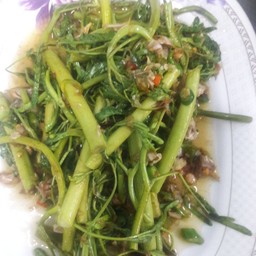 ผัดผักกระเฉด