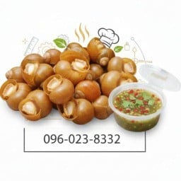 ทหารลวกหอย