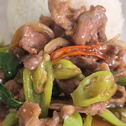 ผัดพริกหยวกไก่ราดข้าว