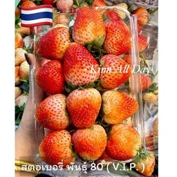สตอเบอรรี่ พันธุ์ 80 (V.I.P. 480g)