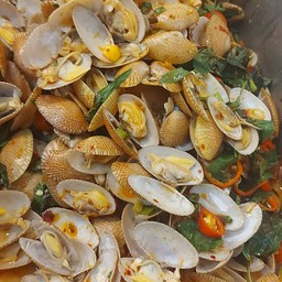 ผัดหอยลาย