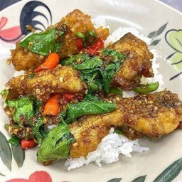 กระเพราปลากระพง ราดข้าว