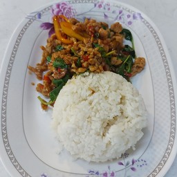 หมูสับผัดกระเพราะราดข้าว