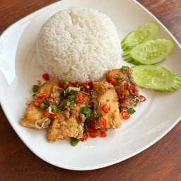 ข้าวปลากะพงคั่วพริกเกลือ