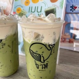 วาฬ เอราวัณ เอราวัณ