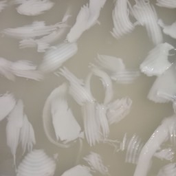 วุ้นมะพร้าวอ่อน