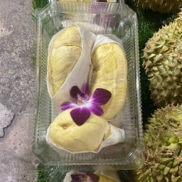 เอฟทุเรียนซิ่ง ลาดปลาเค้า75