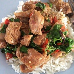 ข้าวกะเพราหมูตุ๋น