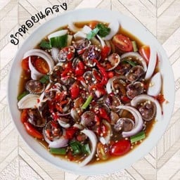 LM ยำหอยแครงแซ่บ