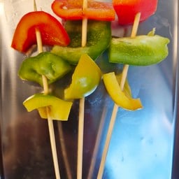 หมาล่านักบิน