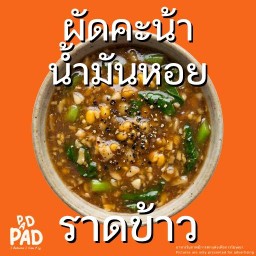 ผัดคะน้าน้ำมันหอย (ราดข้าว)