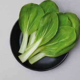 ผักกวางตุ้งไต้หวัน