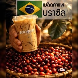 บราซิล ซานโตส นุ่ม มัน นัว ดื่มง่าย