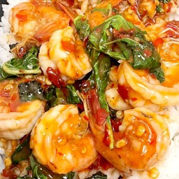 ข้าวกะเพรากุ้ง (โปร ฟรีไข่ดาว)