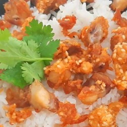 ข้าวเอ็นข้อไก่ทอด+ซอสพริก