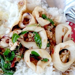 ข้าวกะเพรา ปลาหมึกสด (โปร ฟรีไข่ดาว)