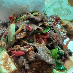 เก้งผัดป่า