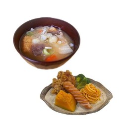 ▲234. OKAZU&TONJIRU SET