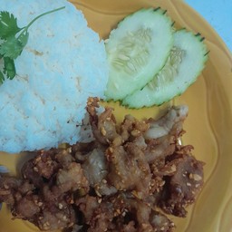 หมูทอดกระเทียม ราดข้าว