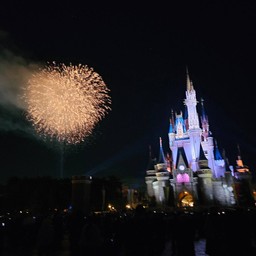 Tokyo Disney Land
