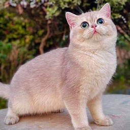 โต้งเตี๋ยวตุ๋น2 สาขา2 (ลำปาง)