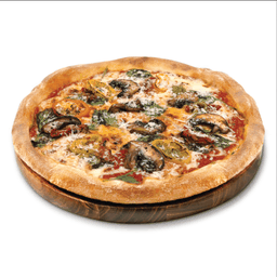 เพสโต้ 10"