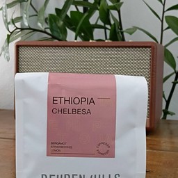Ethiopia Chelbesa Washed