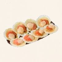 เซ็ตหอยเชลล์