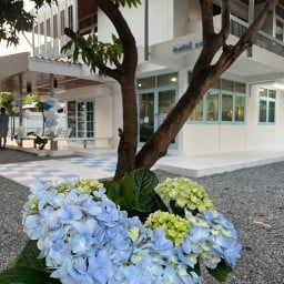 อินฟินิตี้ คาเฟ่ ปากเกร็ด