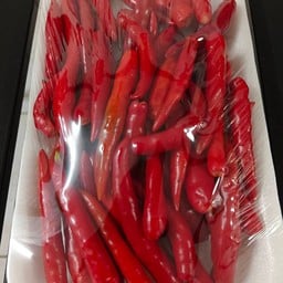 พริกสด(แดง) แพ็ค