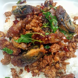 ข้าวราดกระเพราไข่เยี่ยวม้า เลือกเนื้อสัตว 1 อย่าง