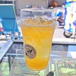 วุ้นกบไต้หวัน