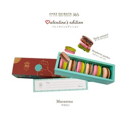 Macaron cat 6 piece