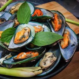 หอยแมลงภู่นึ่ง