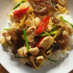 ไก่ผัดขิงราดข้าว