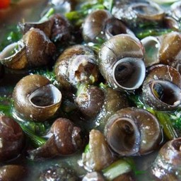 อ่อมหอยโข่งบ้านนา