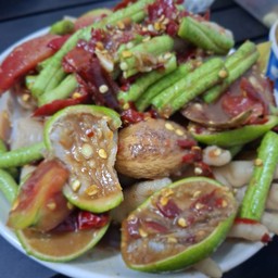 ครัวไข่กบตำตามสั่ง