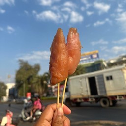สันในไก่