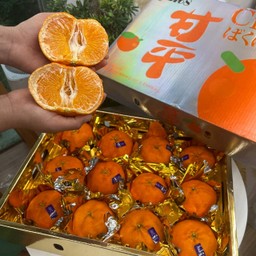 ส้มมิกังจำโบ้ไต้หวัน แพ็ค 2 ผล