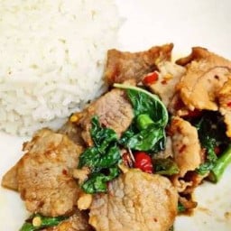 กะเพราโคตรเผ็ด สาขา3