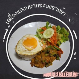 ข้าวเครื่องแกงปลากระพง+ไข่
