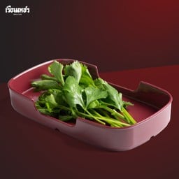 ขึ้นฉ่าย