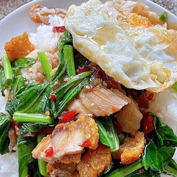 กะเพราคอกซิ่ง