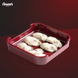 หอยนางรม