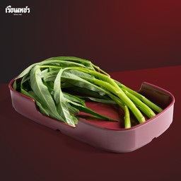 ผักบุ้ง