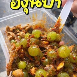 ยำองุ่นป่า